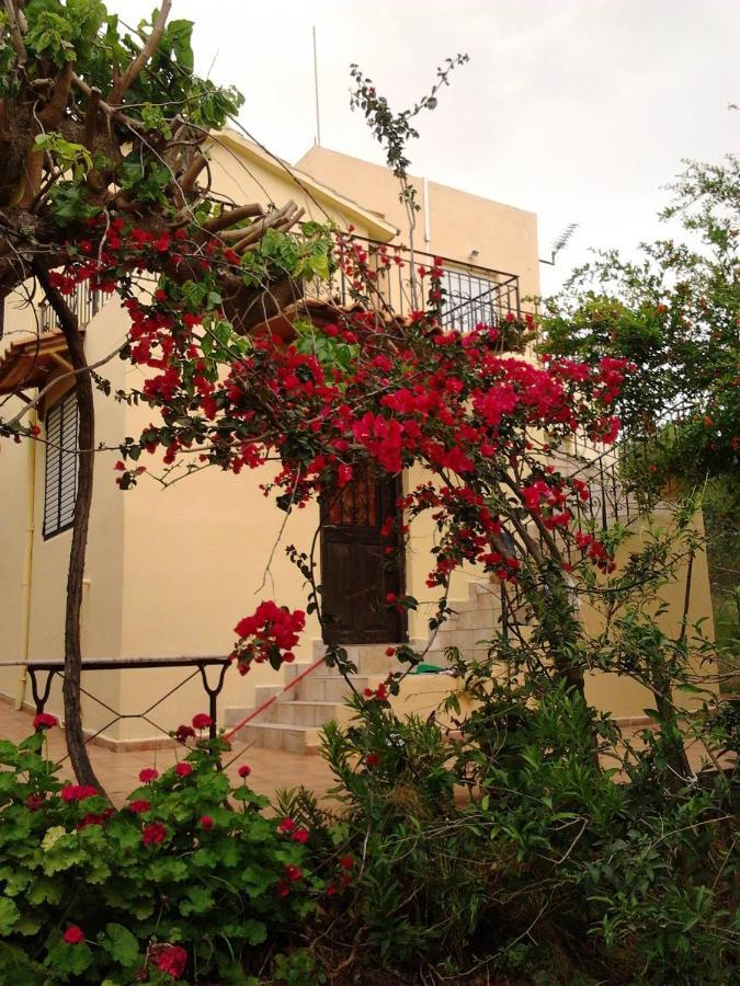Ktima Tzamika Apartment Episkopi-Chania Exterior photo