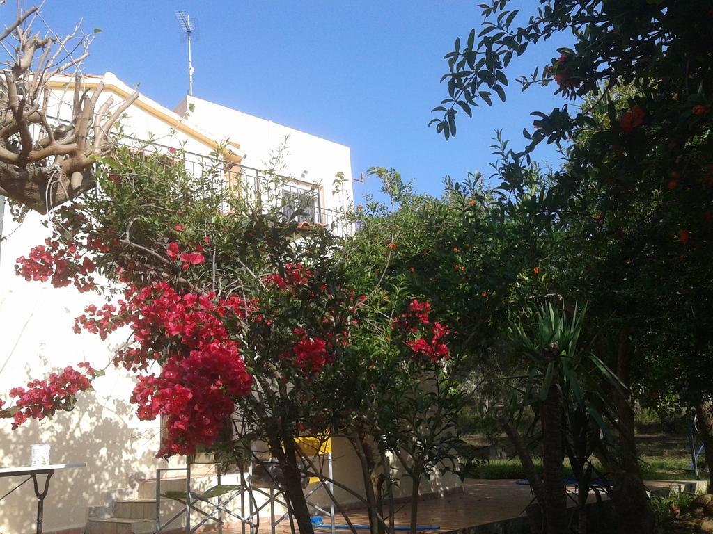 Ktima Tzamika Apartment Episkopi-Chania Exterior photo